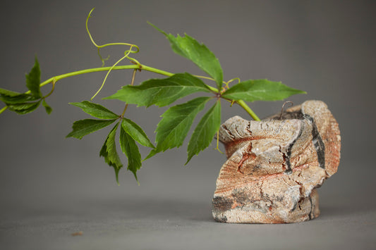 Vase Wood fired